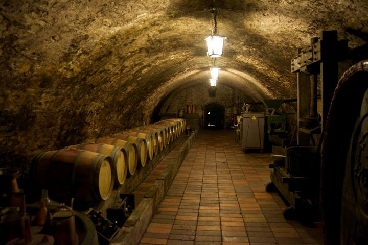 Medieval wine cellars under Melnik Chateau